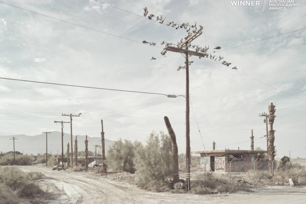 Streets of Abandonment.
Once an idyllic holiday playground for the rich and famous, the Salton Sea region of Californias Imperial Valley is now largely a toxic apocalyptic wasteland of decay and abandonment caused by human neglect and government environmental mismanagement spanning many decades.